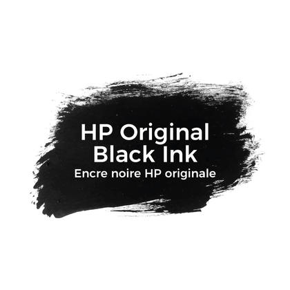 Cardridge: HP67 Black